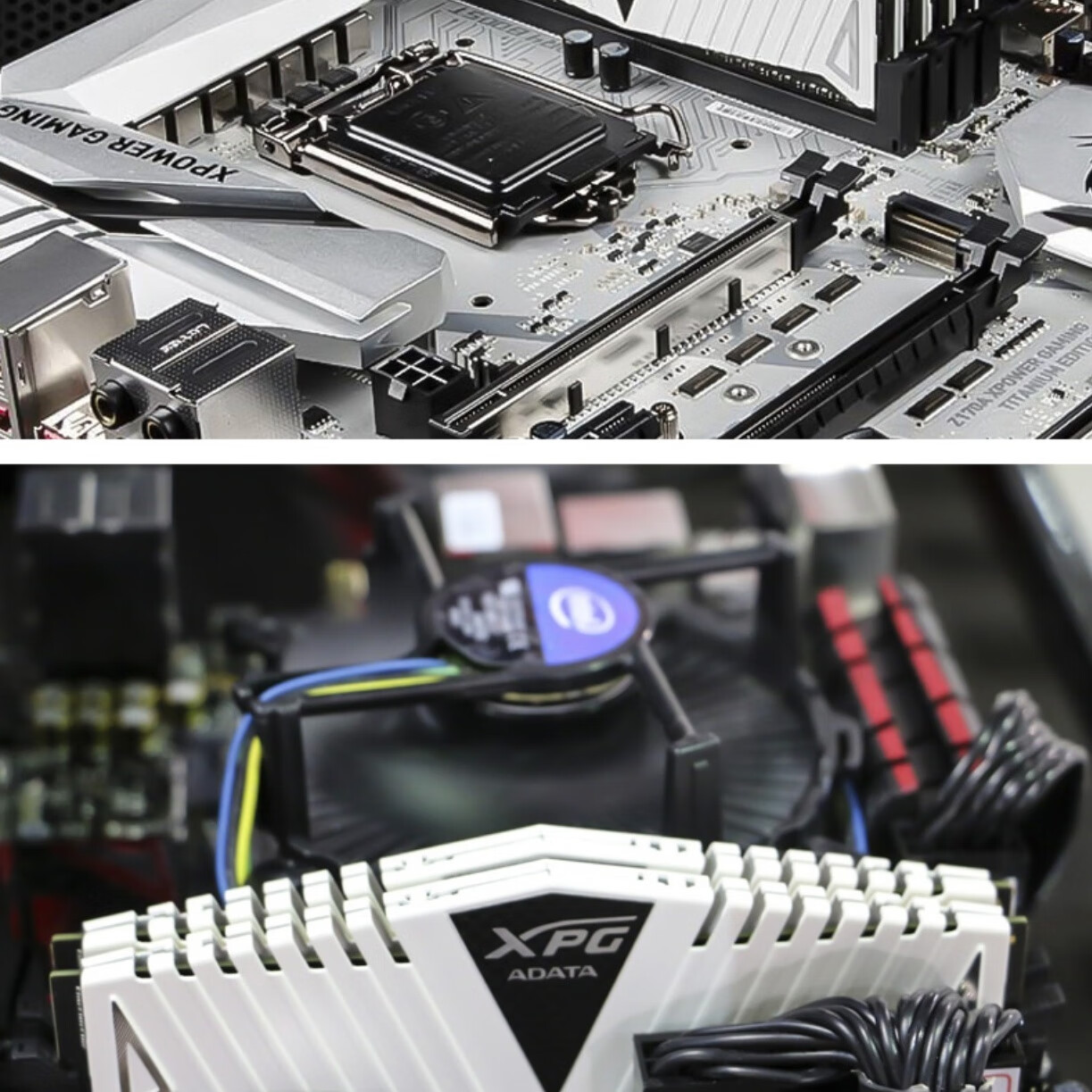XPG威刚（ADATA）XPG威龙Z1 DDR4 3600 8GB 白色台式机内存