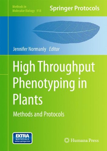 预订 high-throughput phenotyping in plants