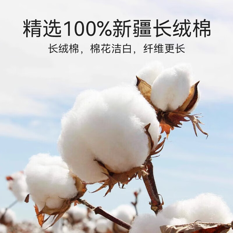 万宁（mannings）一次性棉内裤 女士出差旅行待产坐月子产妇5条L码棉柔免洗内裤