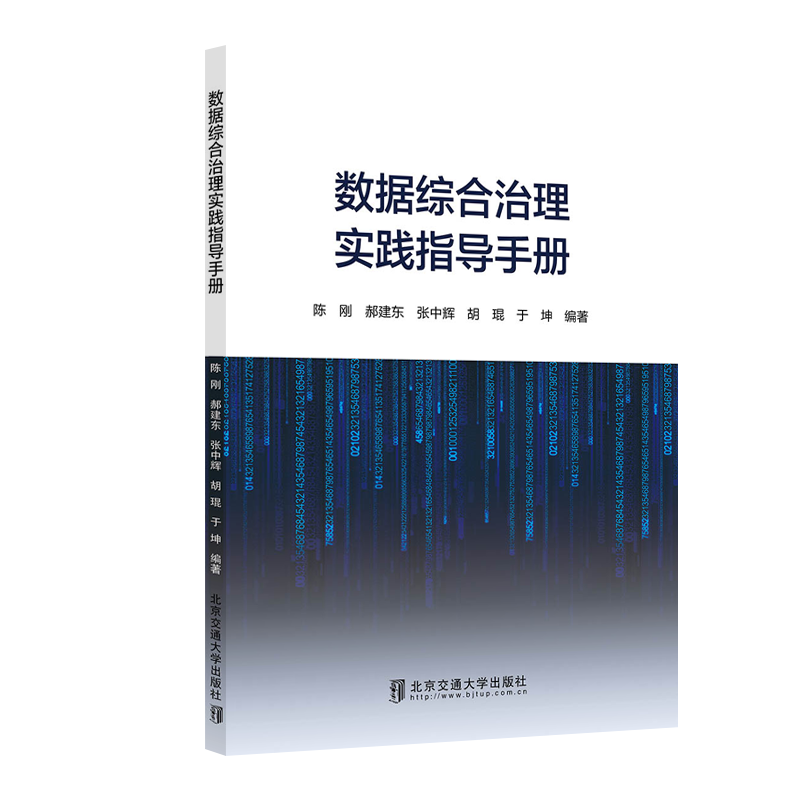 数据综合治理实践指导手册