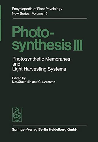 预订 photosynthesis iii