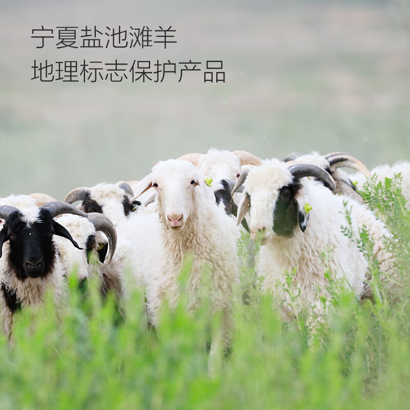 1号会员店 宁夏盐池滩羊 去骨后腿肉2斤 180天乳羔羊 羊肉生鲜 羊腿肉