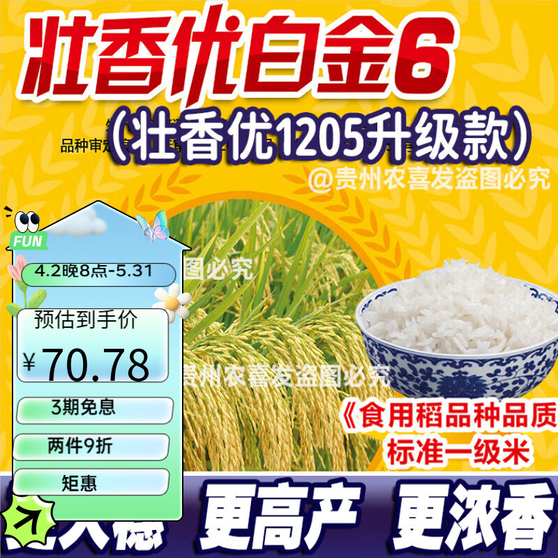 壮香优白金6稳产长粒香米水稻种子香稻谷种子丝苗香米种子象牙米 壮香优白金6(500克)1包