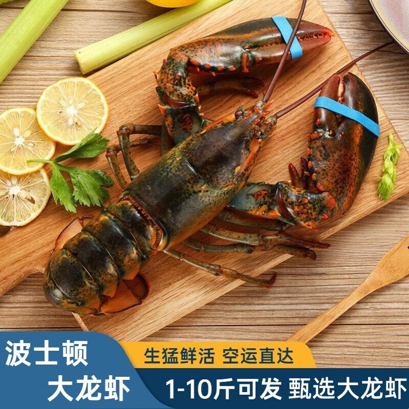 鲜】波士顿龙虾 鲜活大龙虾 超大波龙活冻龙虾 海鲜水产 活冻波龙1-1