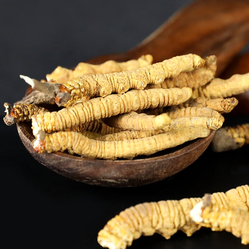 奇正藏药 冬虫夏草 野生虫草 青藏高原高海拔 新货干草洁净饱满 三级