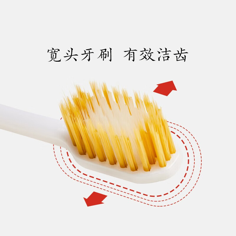 Briar Vine8支牙刷成人牙刷软毛牙刷中毛日系本牙刷牙成人软毛宽头牙阿刷 【升级款】8支瓶装（质量升级）