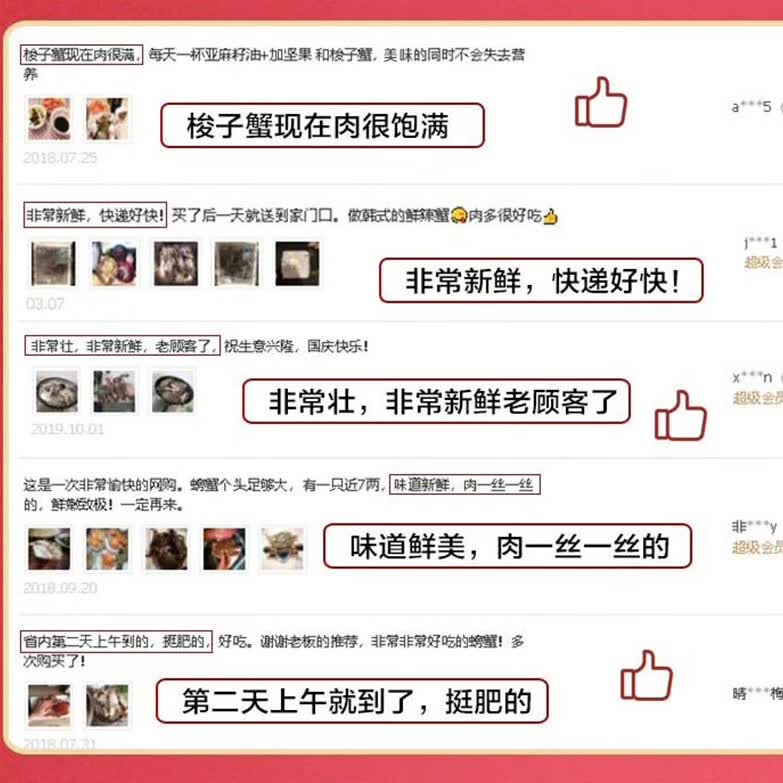 莱州湾梭子蟹鲜活新鲜特大海蟹 飞蟹 白蟹 海鲜螃蟹中秋礼盒福利 梭子蟹鲜活 每只1斤以上 10只装