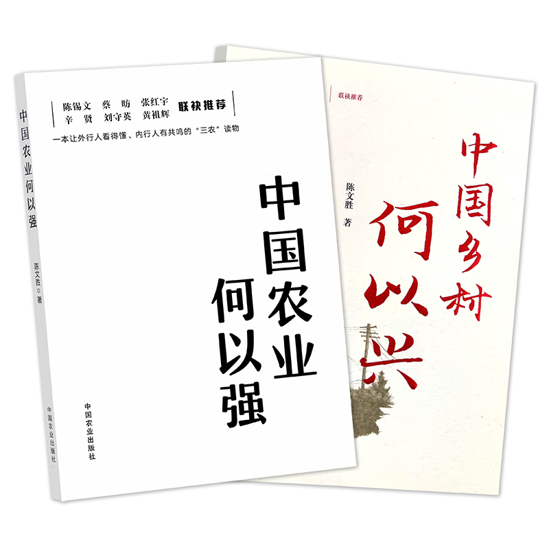 中国乡村何以兴 乡村振兴乡村规划乡村教育