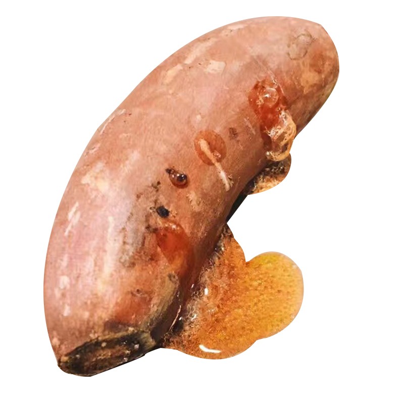 储山 山东烟薯 红薯新鲜地瓜番薯 农家自种黄心糖心 5斤