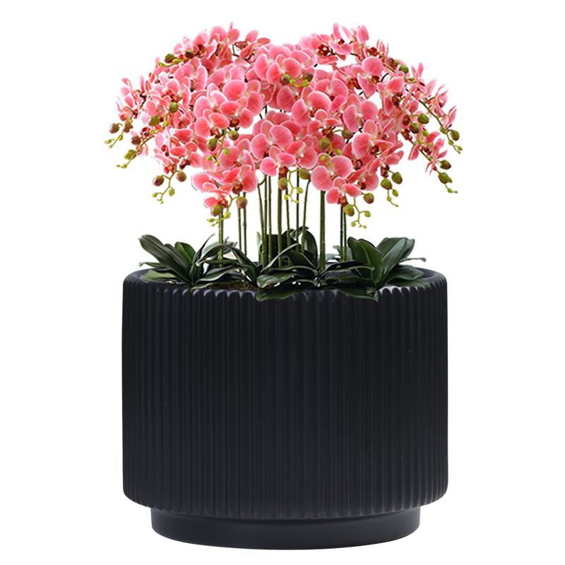 ܷ��Է��QIAN TANG YUAN���մɻ��豱ŷ���ǹ��ɫ��Լ���ں��������������ش����ֲ����� 7450000�����̣����������̣� �ش� 21.9Ԫ