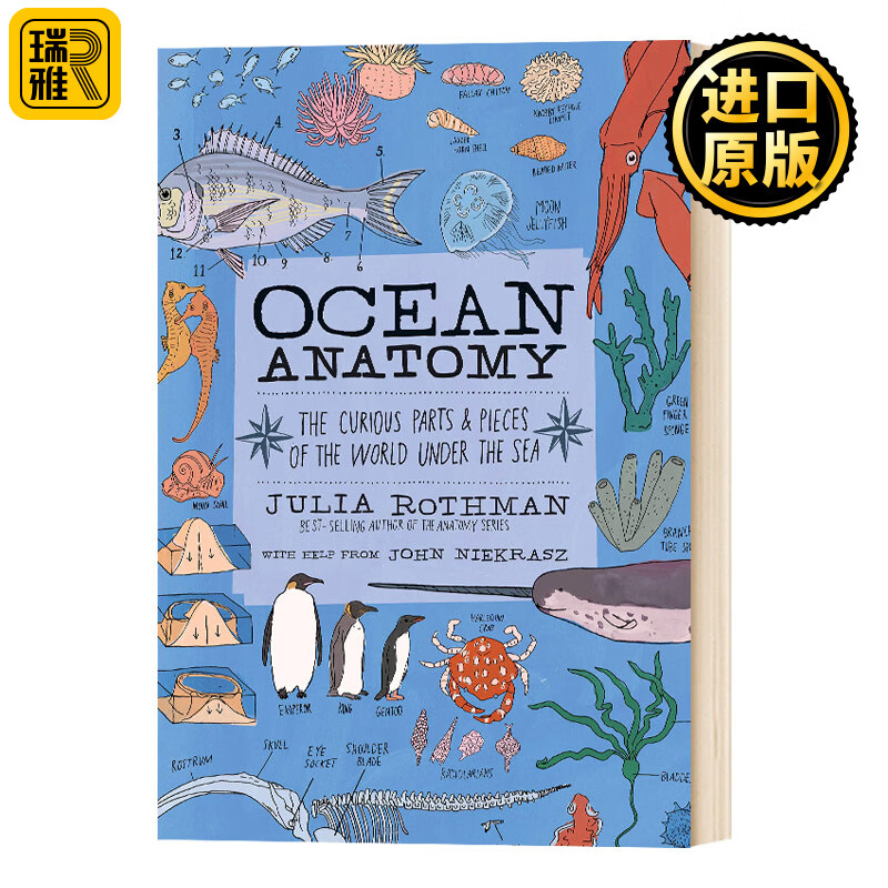 ocean anatomy 海洋解剖学 插画科普 英文原版 进口原版
