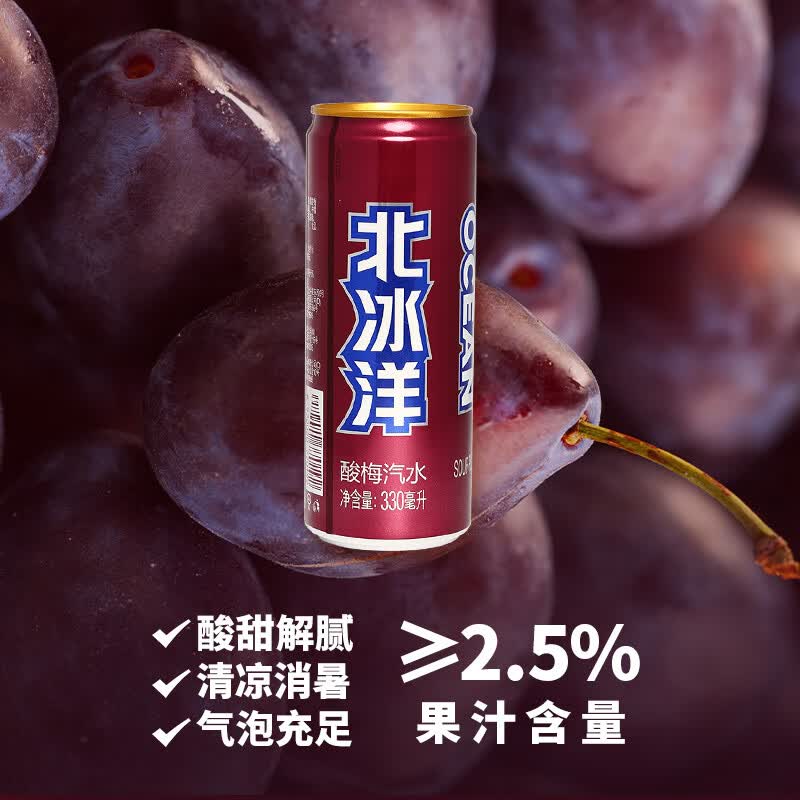 北冰洋酸梅汽水330ml酸梅汤西梅汁果汁碳酸饮料 【酸梅12听】