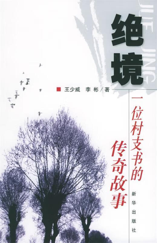 绝境:一位村支书的传奇故事 王少威,李彬