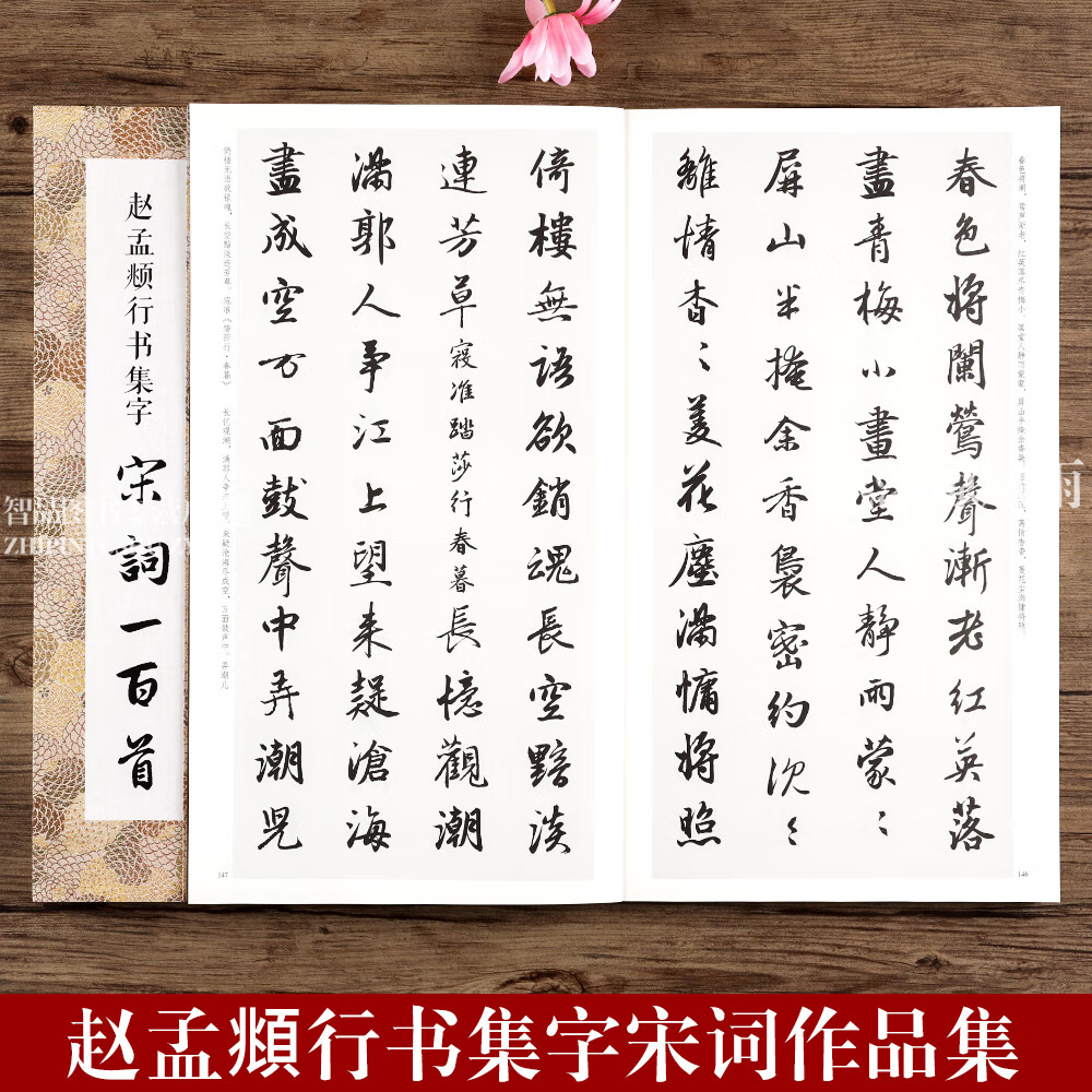 赵孟頫行书集字宋词100一百首 收录赵体碑帖集字古诗词 学生初学者