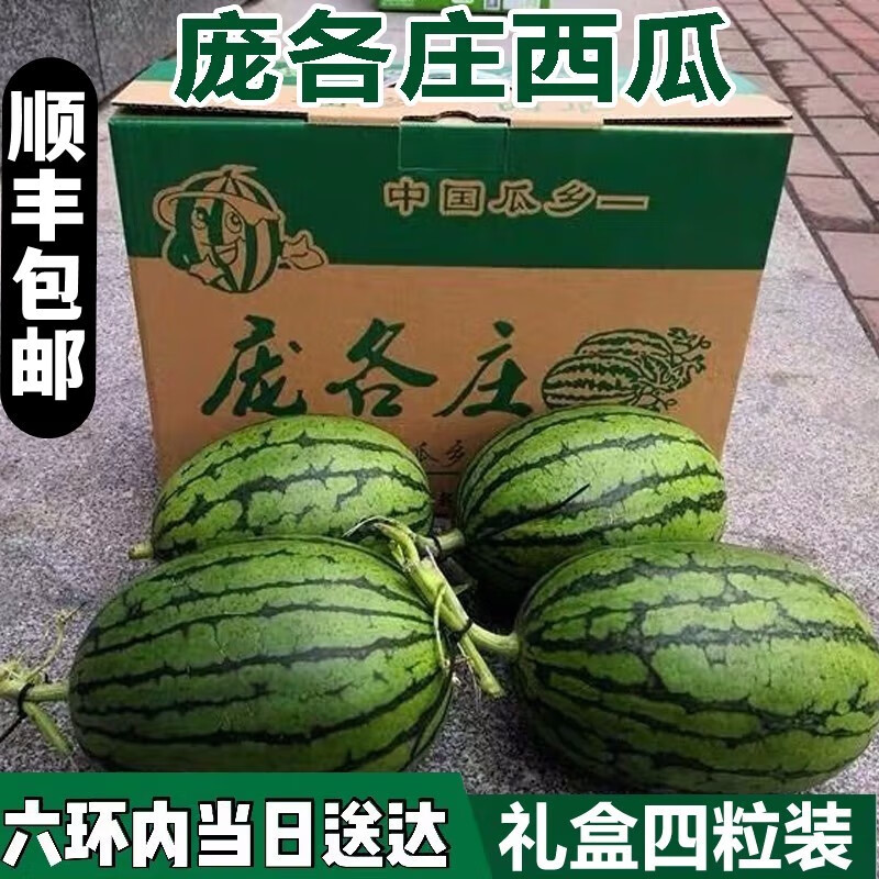 北京大兴庞各庄小西瓜 珍迷你小西瓜醇奶冰糖牛奶吊瓜礼盒装 2颗装【5