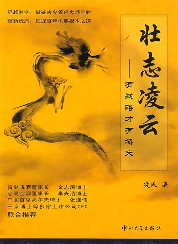 壮志凌云:有战略才有将来 凌风 著【正版书】