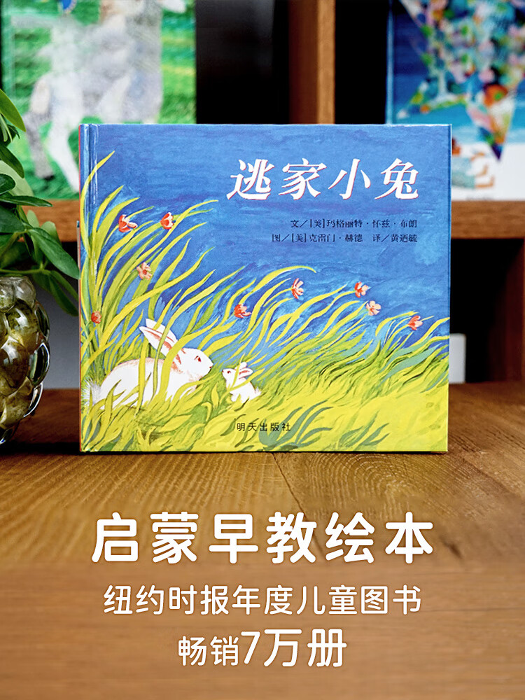 逃家小兔非注音正版一年级儿童硬壳皮绘本阅读幼儿园3-6岁国际获奖
