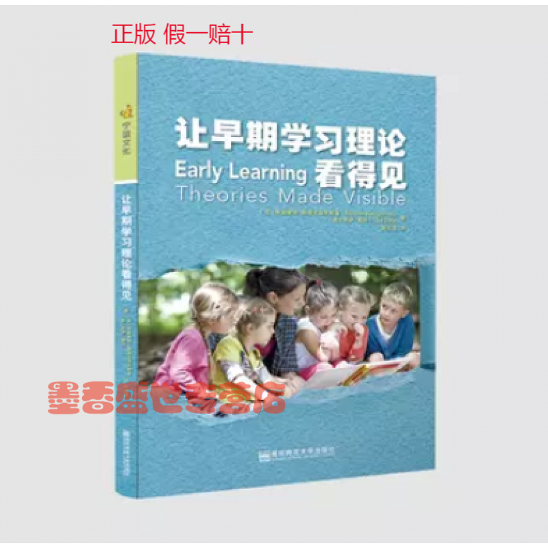 区域 让早期学习理论看得见 南京师范大学出版社