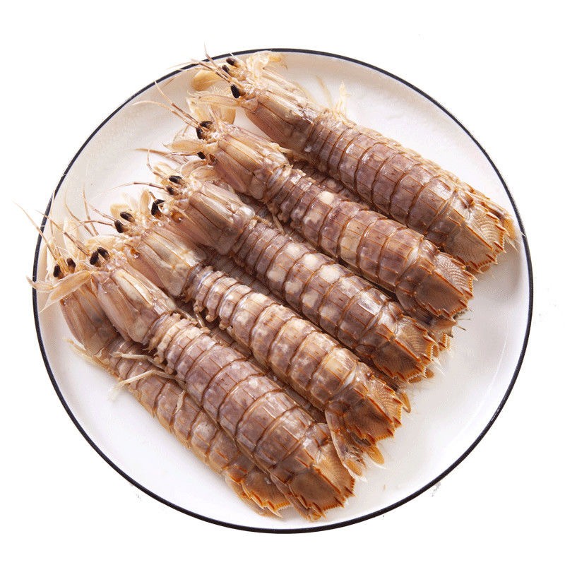四合鲜诺鲜 皮皮虾鲜活 海皮皮虾大号 虾爬子公虾母虾 冰鲜到家
