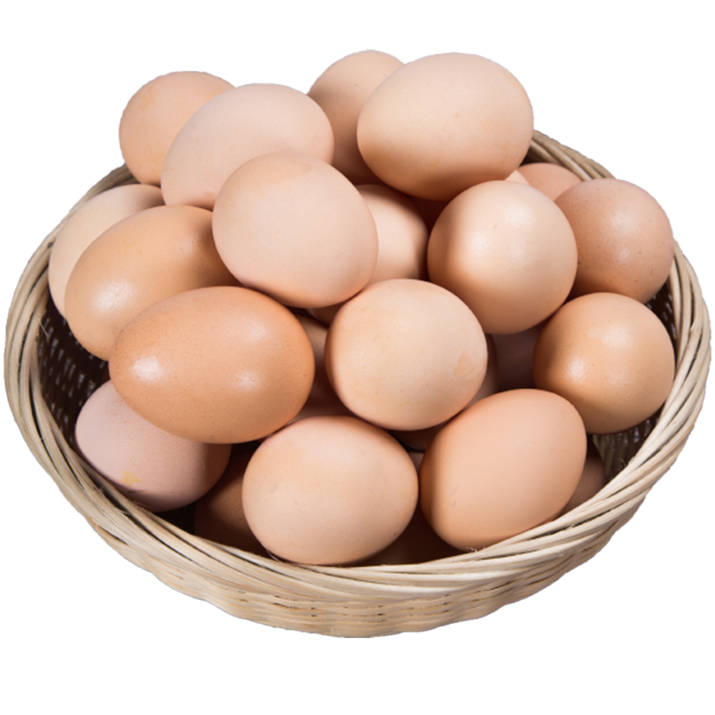 乡土季 散养土鸡蛋 农家鲜鸡蛋柴鸡蛋草鸡蛋笨鸡蛋 土鸡蛋 土鸡蛋40枚 净重1500g以上