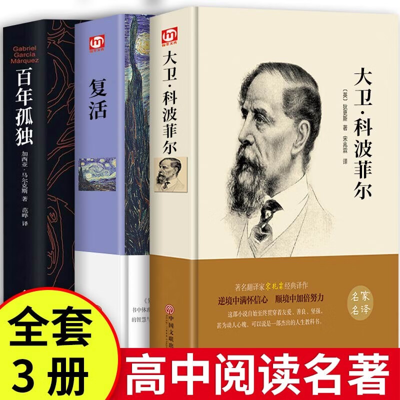 全套4册 百年孤独+大卫科波菲尔+老人与