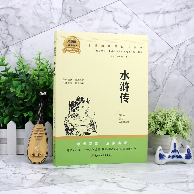 艾青诗选和水浒传九年级上册(全2册)适用于人民教育出版社初中教材配套正版阅读课外书 精彩导读重点批注考点突破 人民教育出版社人教版配套阅读名著课程化丛书