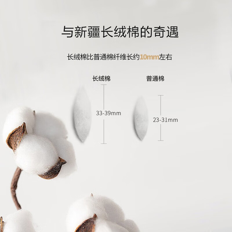 雅色白色床单纯棉 酒店长绒棉纯白色床单 全棉白色床单床罩 纯白贡缎【万豪同款】床笠 100支 【单品床笠】 180cm*200cm