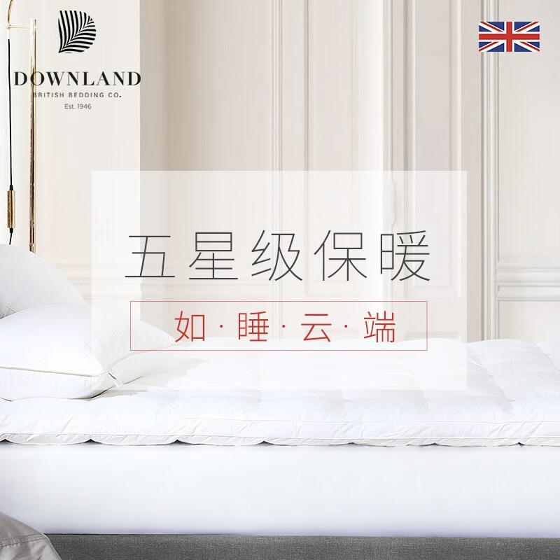 Downland床垫白鹅毛床垫加厚星级酒店床护垫子单人双人软垫防滑保护垫加厚折叠床褥1.8m1.5m 白色 180*200cm