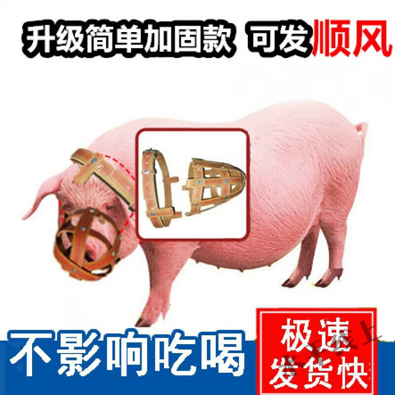 奔新农防咬套 猪嘴套母猪嘴套防咬仔猪老母猪防咬小猪仔套牛笼头套嘴