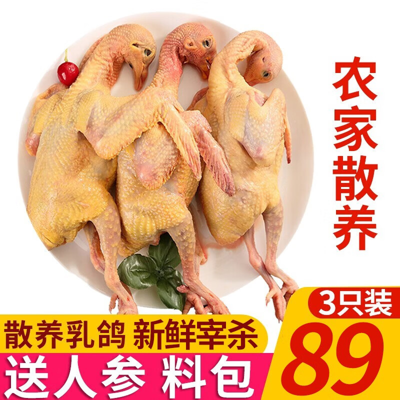 看其他禽类价格走势的软件|其他禽类价格走势