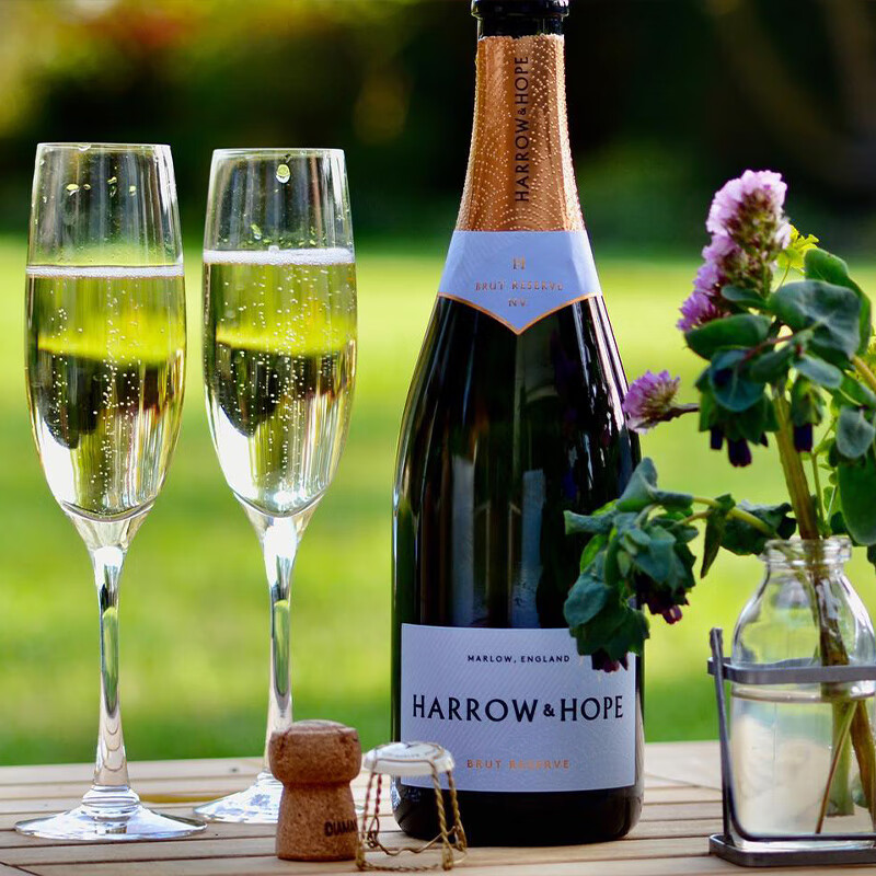 樂事會英国进口雅珑庄园6号珍藏白起泡葡萄酒750ml 单支