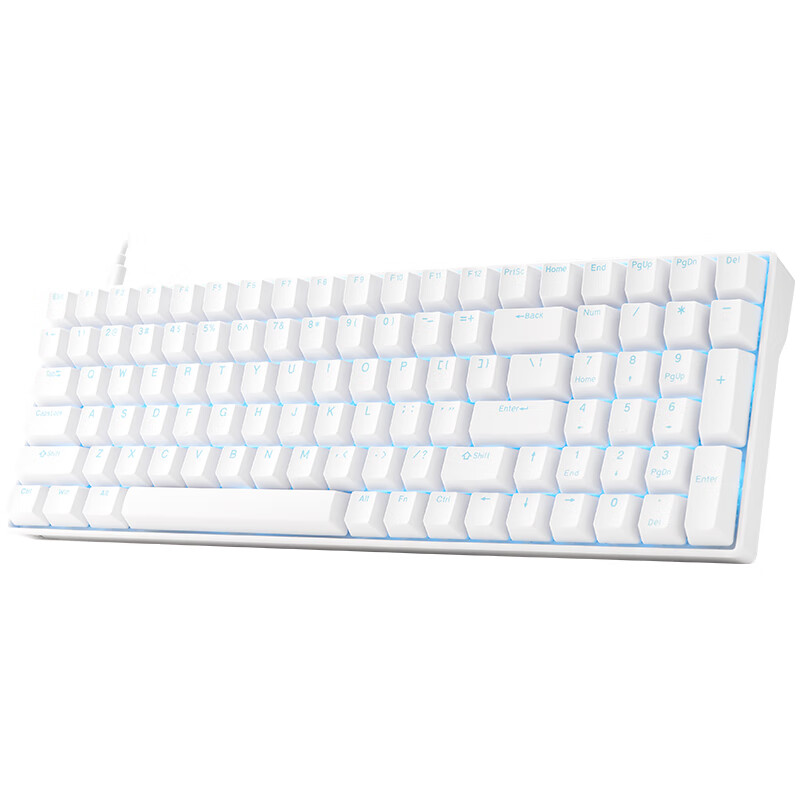 背光机械键盘 游戏客制化键线分离 100键全键无冲pbt键帽 白色弹白轴