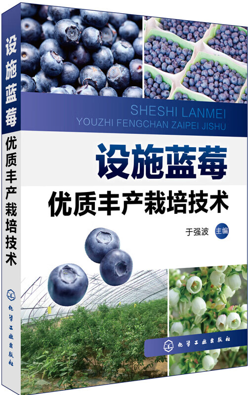 设施蓝莓优质丰产栽培技术 正版正货 新华书店