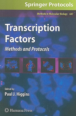 预订 transcription factors