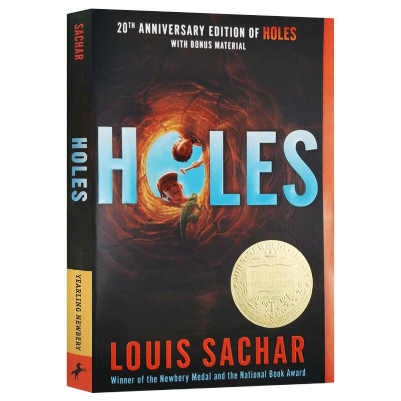 Holes 孔洞 图书