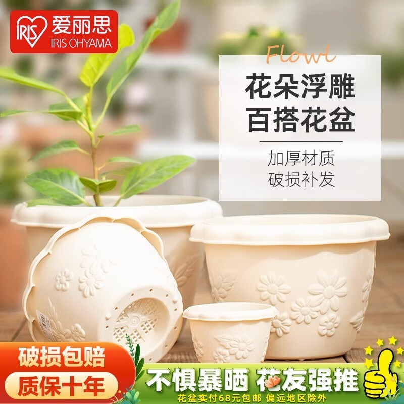 ����˼ ��֬���Ƹ���Ӻ��� 4��ǳ��ɫ