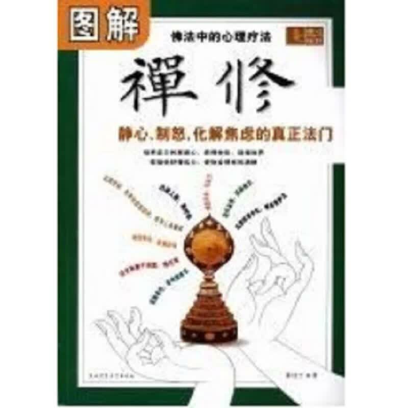 现货图解禅修：静心、制怒、化解焦虑的真正法门董佳宁著西