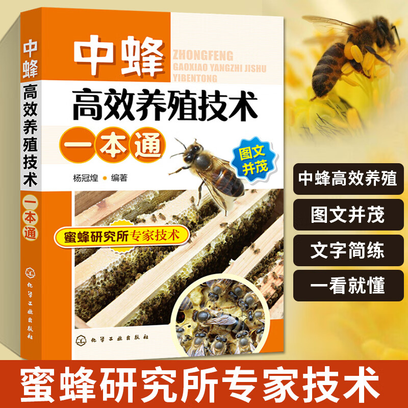 中蜂高效养殖技术一本通 中蜂养殖技术大全书 蜜蜂养殖书 中华蜜蜂