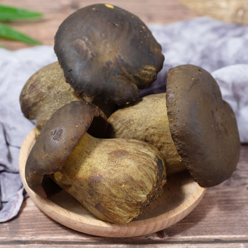 鲜黑牛肝菌 云南鲜菌 火锅煲汤烧烤炒菜食材 500克 顺丰快递