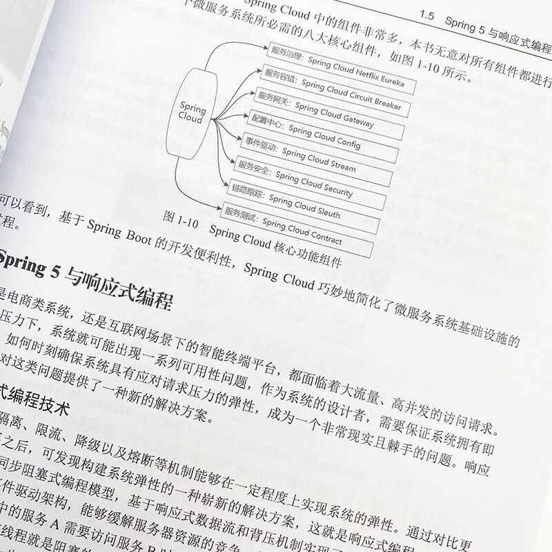 Spring核心技术和案例实战（异步图书出品）详情图