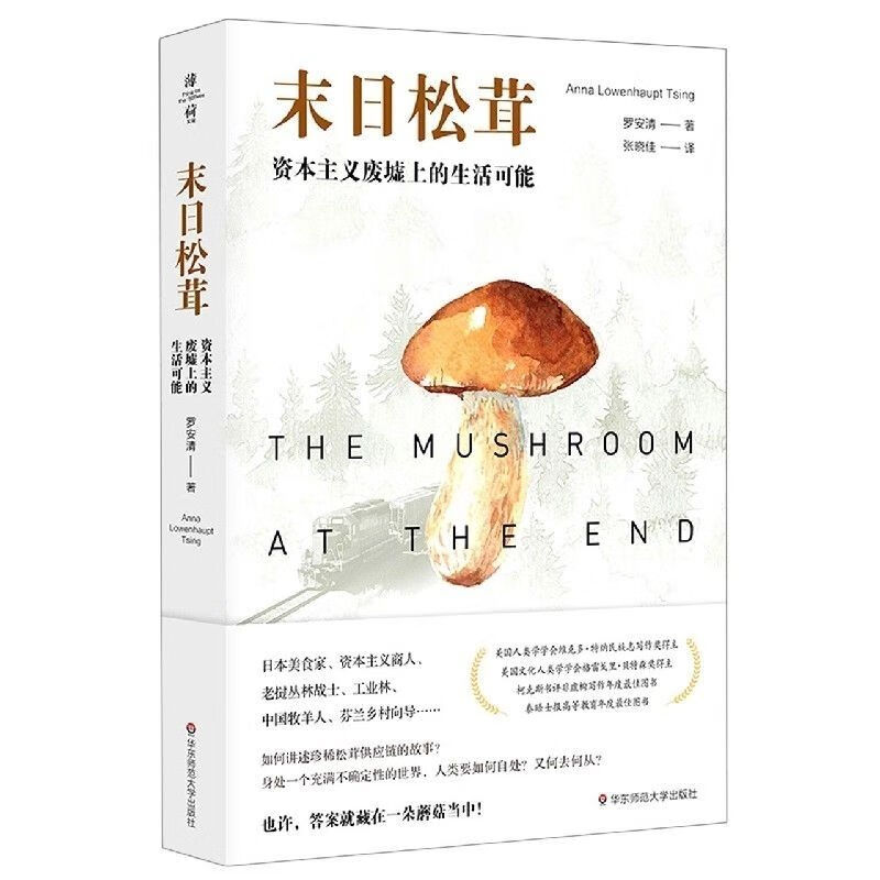 末日松茸(资本主义废墟上的可能)