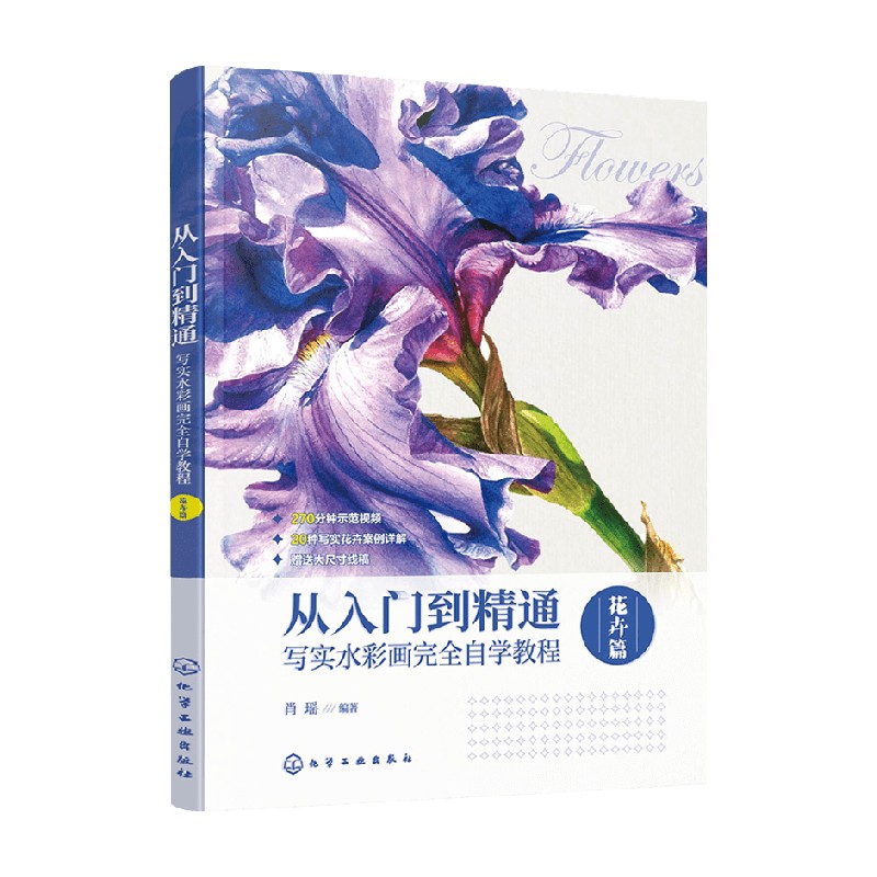 从入门到精通 肖瑶 编著 绘画