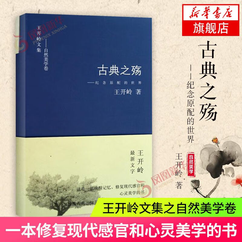 古典之殇 纪念配 王开岭著 追溯古典保卫生活怀念人类童年的书 唤醒记忆修复现代感官和心灵美学的书 文