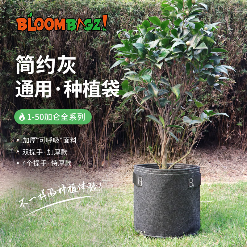 bloombagz简约灰成长袋美植袋环保透气柔性面料控根种树种菜袋花盆 7
