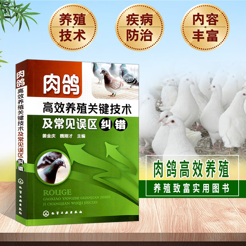 正版现货  肉鸽高效养殖关键技术及常见误区纠错 肉鸽养殖技术教程