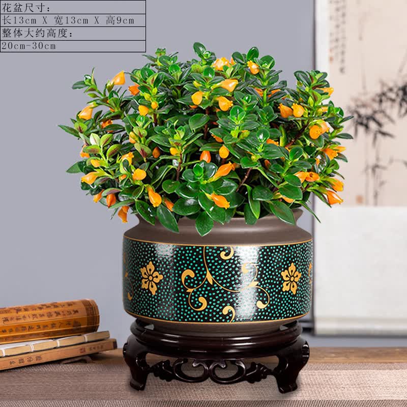 金鱼花 相关京东优惠商品人气升序排行榜 价格图片品牌优惠券 虎窝购