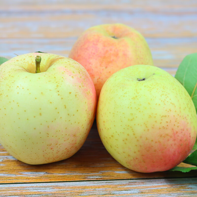 鲜姿 正宗大连王林苹果青森麻脸美人贵妃礼盒黄苹果生鲜孕妇新鲜水果 净重4.5斤特大果(单果80+mm)