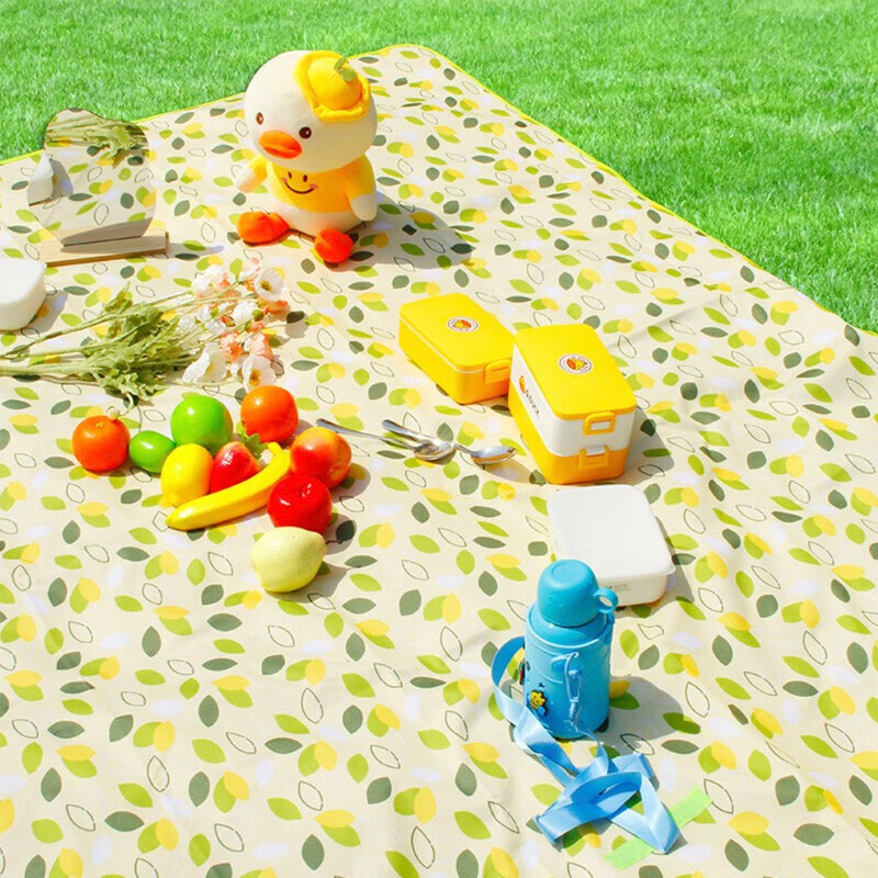 探险君野餐垫 防潮垫 防水野营垫 户外垫子 沙滩垫 爬行垫  小飞叶野餐垫150*200cm