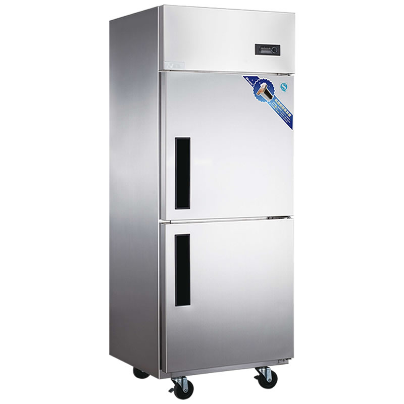 达克斯立式冷冻大排档冰柜 不锈钢单温柜饭店酒店冷柜 d0