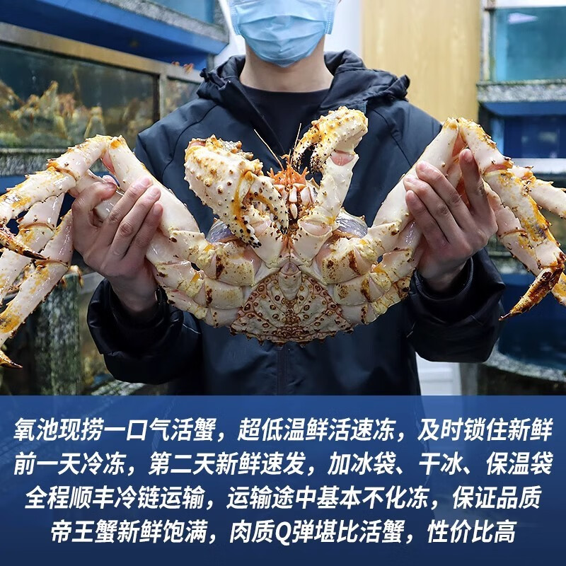 帝王蟹海鲜鲜活冻大10斤进口高端顺丰空运长脚蟹皇帝蟹帝皇蟹 8.5-9【活冻品质 新鲜足称】